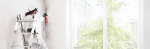 Best Mold Documentation for Insurance Claims  in Shell Point, SC