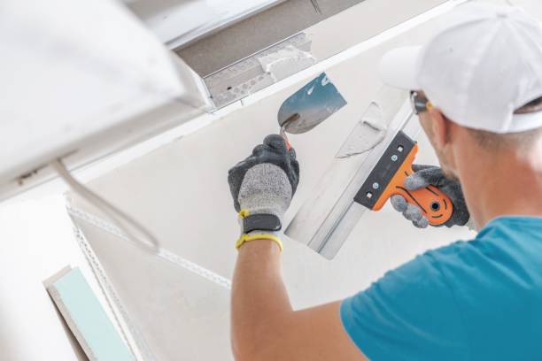 Best Environmental Consulting for Mold Prevention  in Shell Point, SC